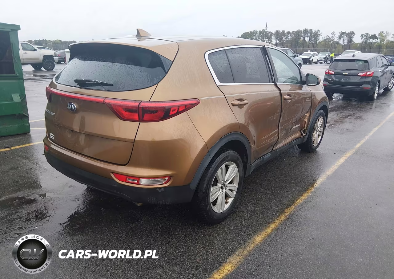2017 Kia Sportage Lx VIN:KNDPM3AC4H7044678 - 4