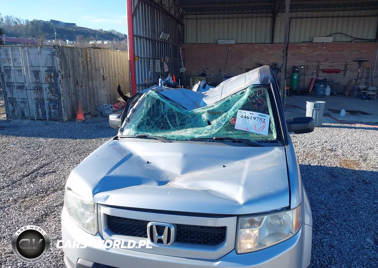 2009 Honda Element Ex VIN:5J6YH28759L001501 - 6