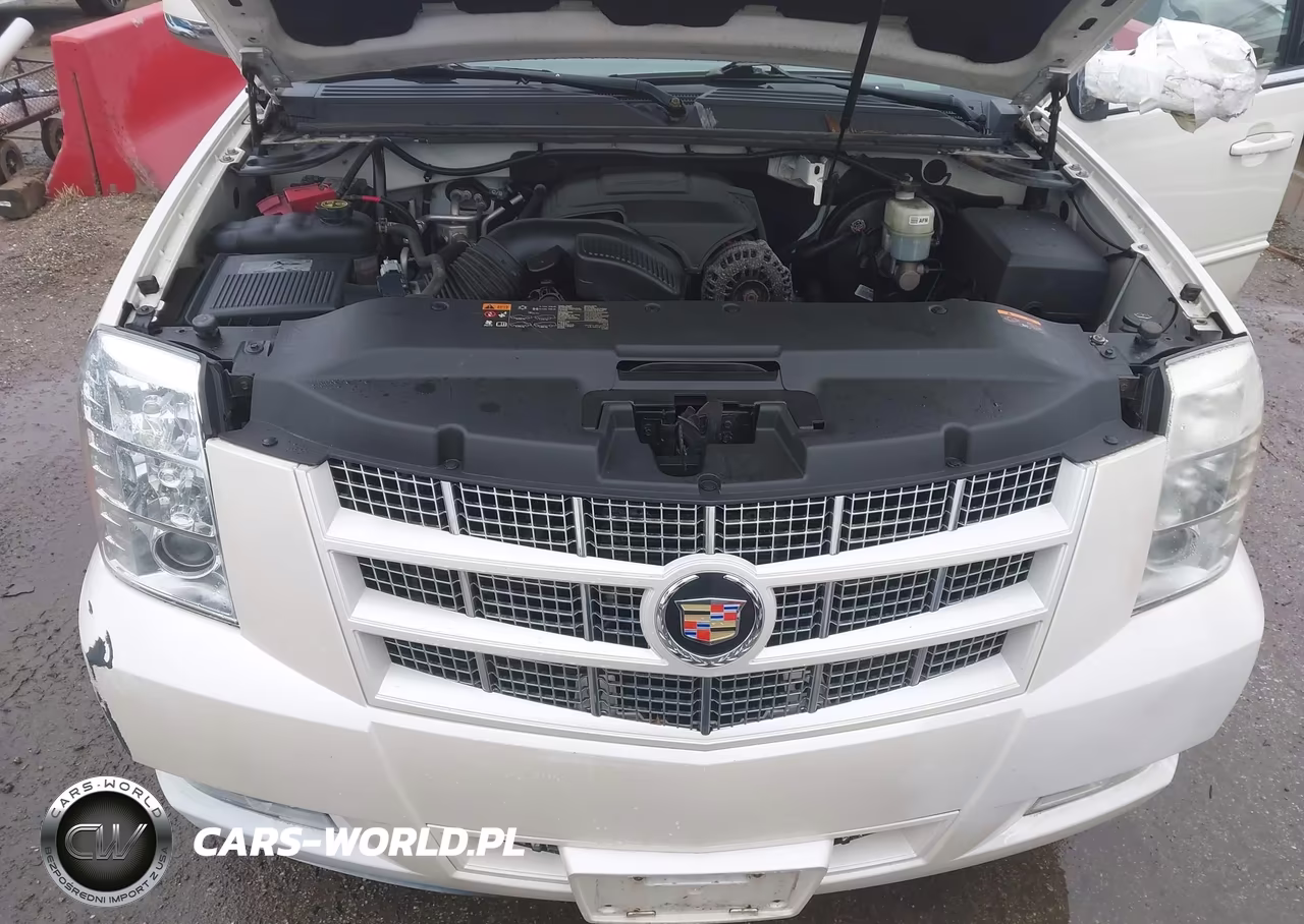 2014 Cadillac Escalade Premium VIN:1GYS4CEF1ER146612 - 10