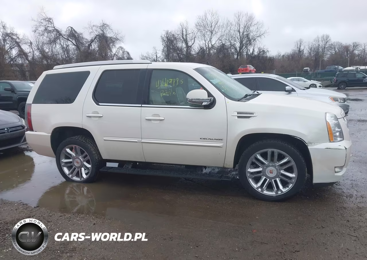 2014 Cadillac Escalade Premium VIN:1GYS4CEF1ER146612 - 14