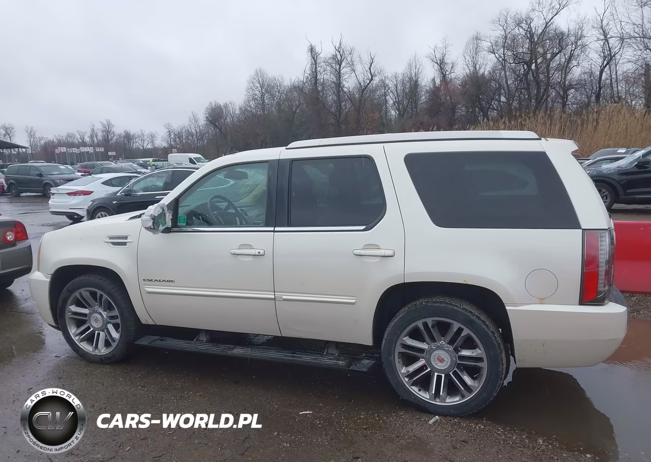 2014 Cadillac Escalade Premium VIN:1GYS4CEF1ER146612 - 15