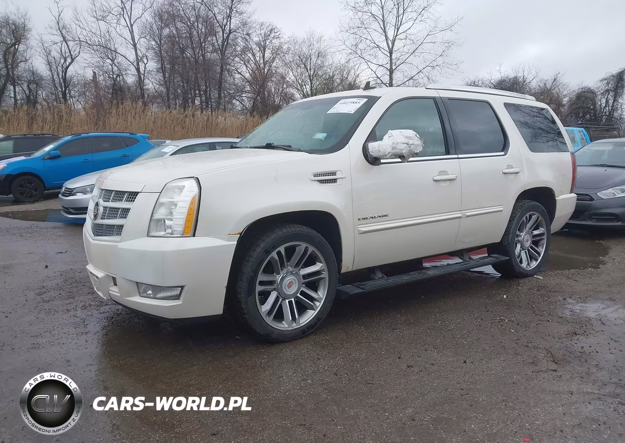 2014 Cadillac Escalade Premium VIN:1GYS4CEF1ER146612 - 2