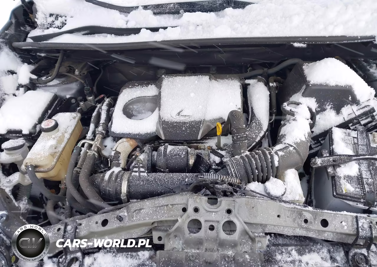 2021 Lexus Nx 300 VIN:JTJDARBZ6M2185743 - 10