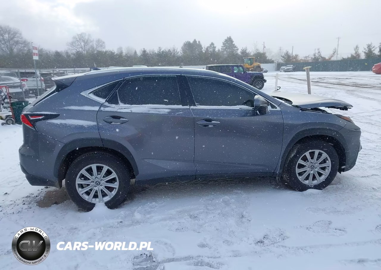 2021 Lexus Nx 300 VIN:JTJDARBZ6M2185743 - 13