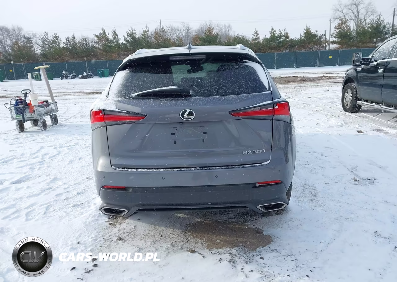 2021 Lexus Nx 300 VIN:JTJDARBZ6M2185743 - 16