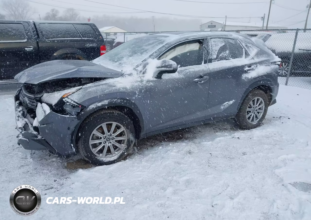 2021 Lexus Nx 300 VIN:JTJDARBZ6M2185743 - 2