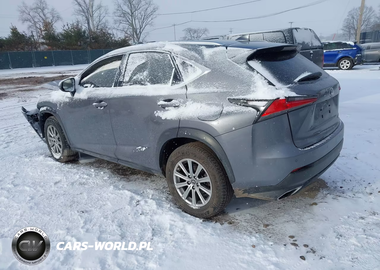 2021 Lexus Nx 300 VIN:JTJDARBZ6M2185743 - 3