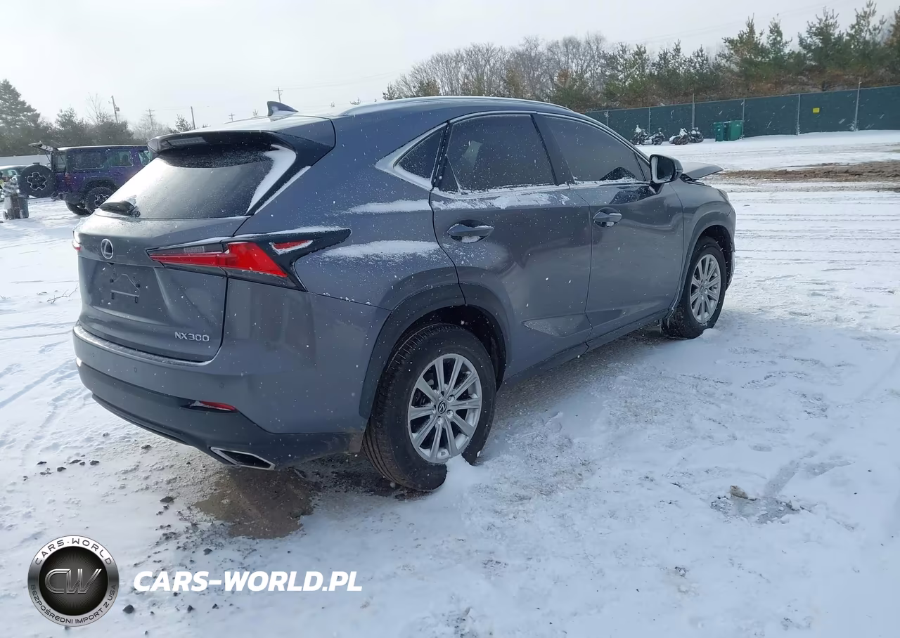 2021 Lexus Nx 300 VIN:JTJDARBZ6M2185743 - 4