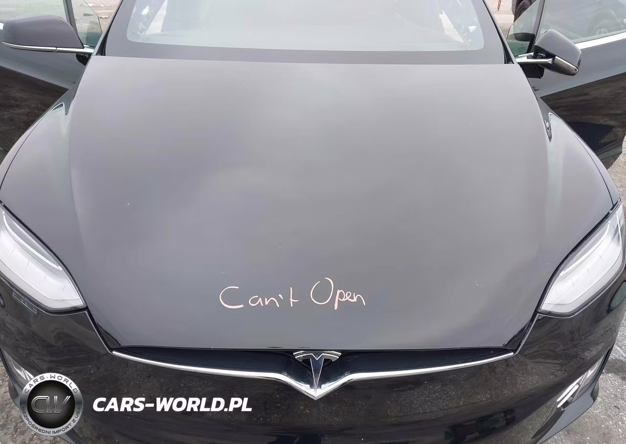 2020 Tesla Model X Long Range Dual Motor All-Wheel Drive-Long Range Plus Dual Motor All-Wheel Drive VIN:5YJXCDE2XLF232473 - 10