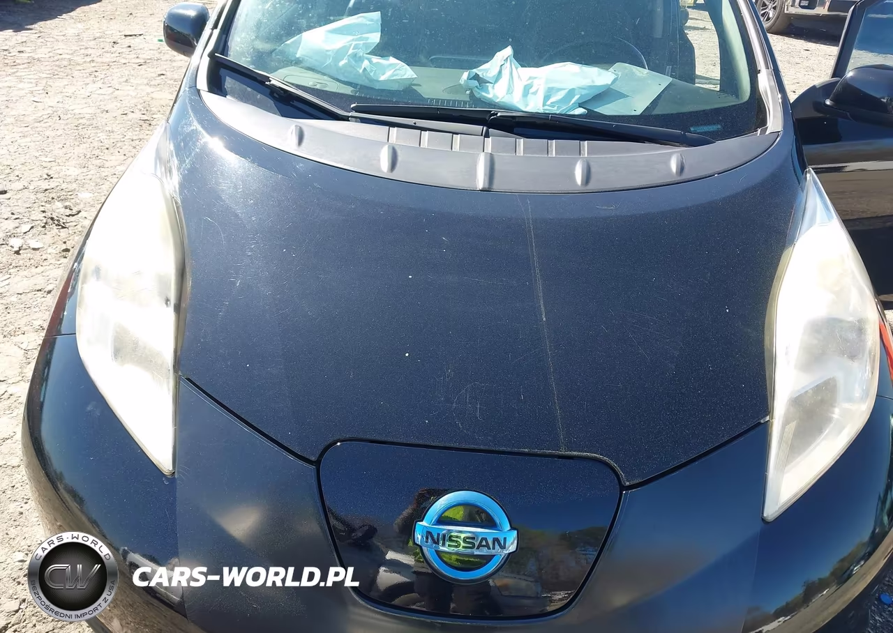 2013 Nissan Leaf Sl VIN:1N4AZ0CP4DC404321 - 10