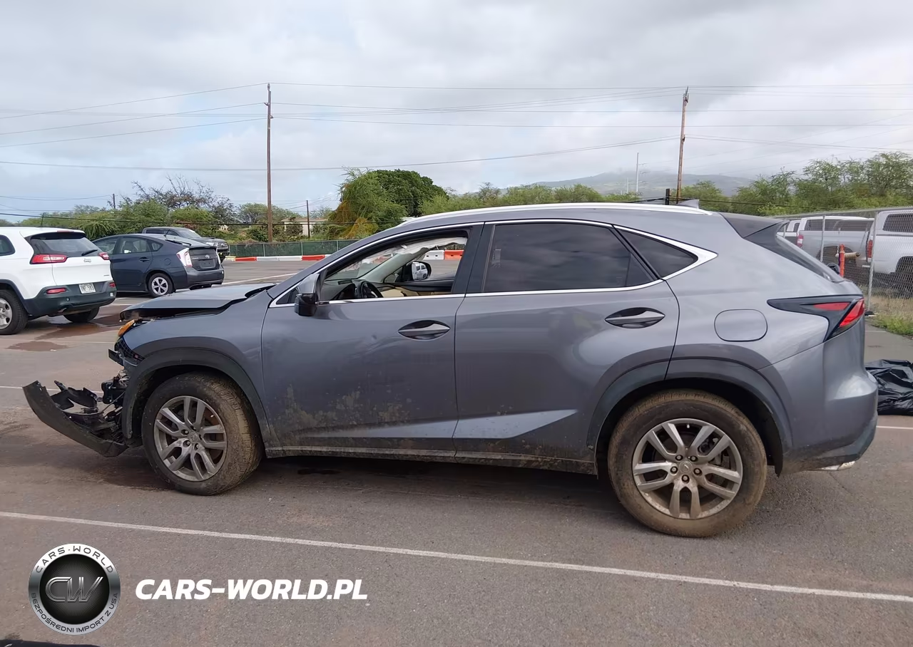 2015 Lexus Nx 200T F Sport VIN:JTJYARBZ3F2010788 - 13