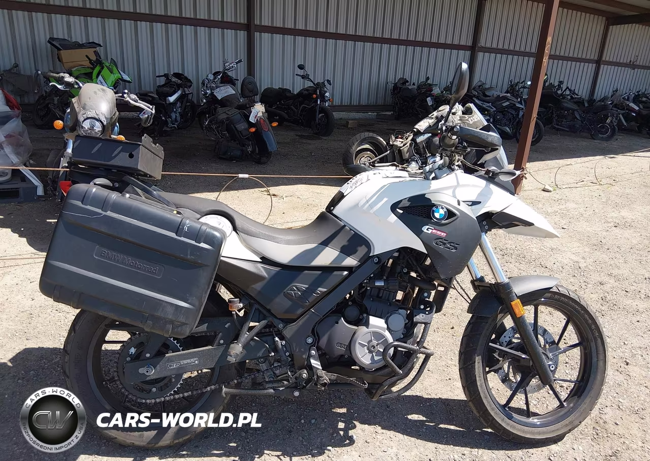 2016 BMW G650 Gs VIN:WB1018909GZY96302 - 12