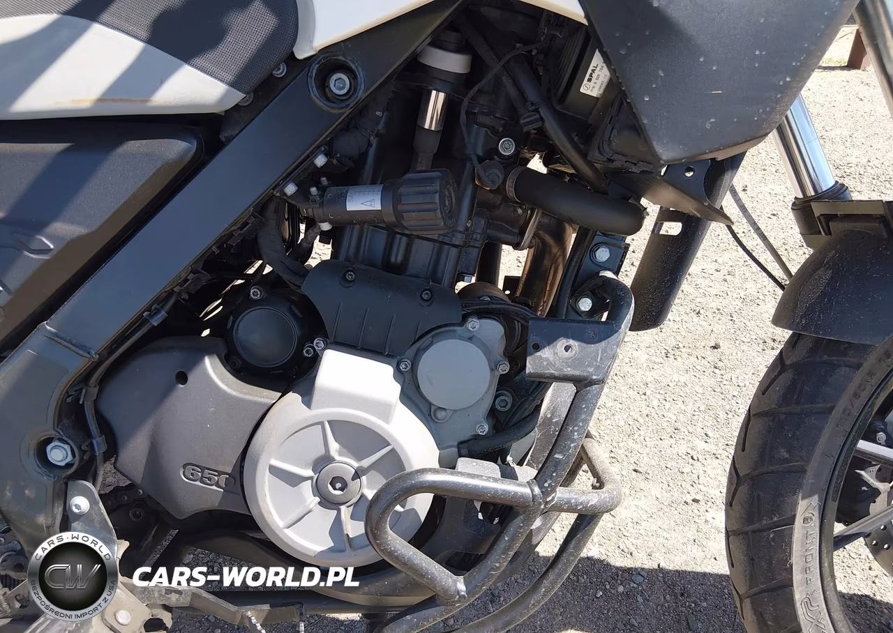 2016 BMW G650 Gs VIN:WB1018909GZY96302 - 8