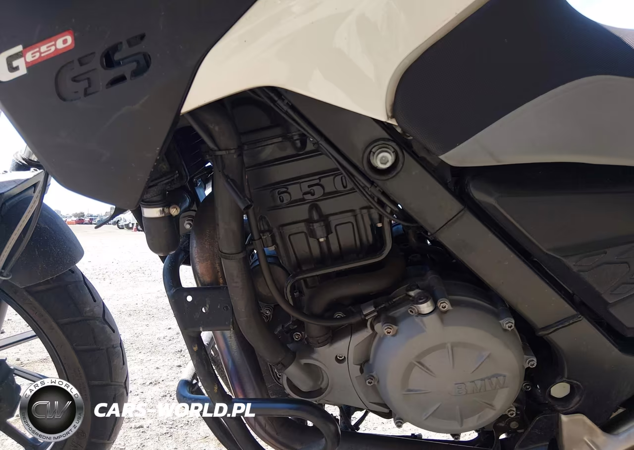 2016 BMW G650 Gs VIN:WB1018909GZY96302 - 9