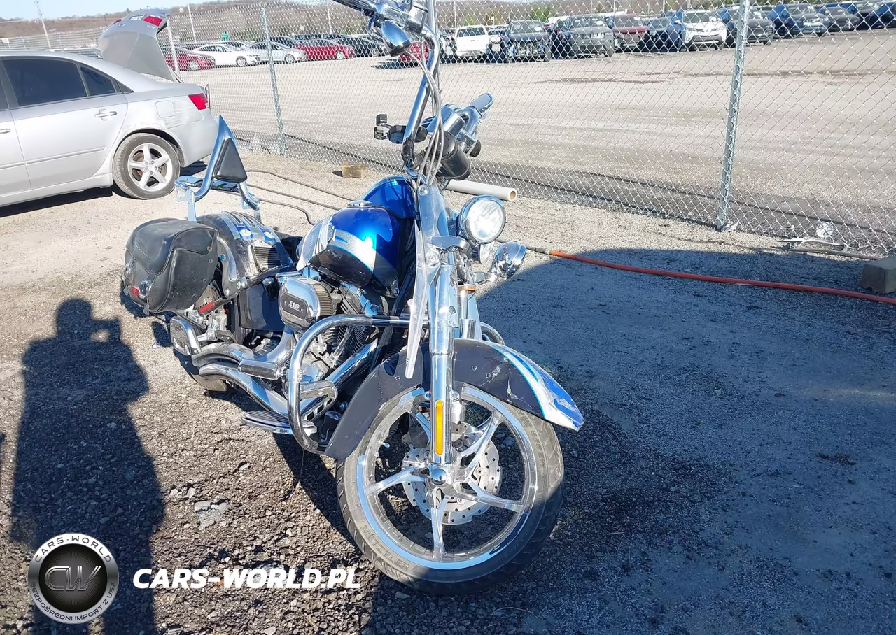 2010 Harley-Davidson Flstse