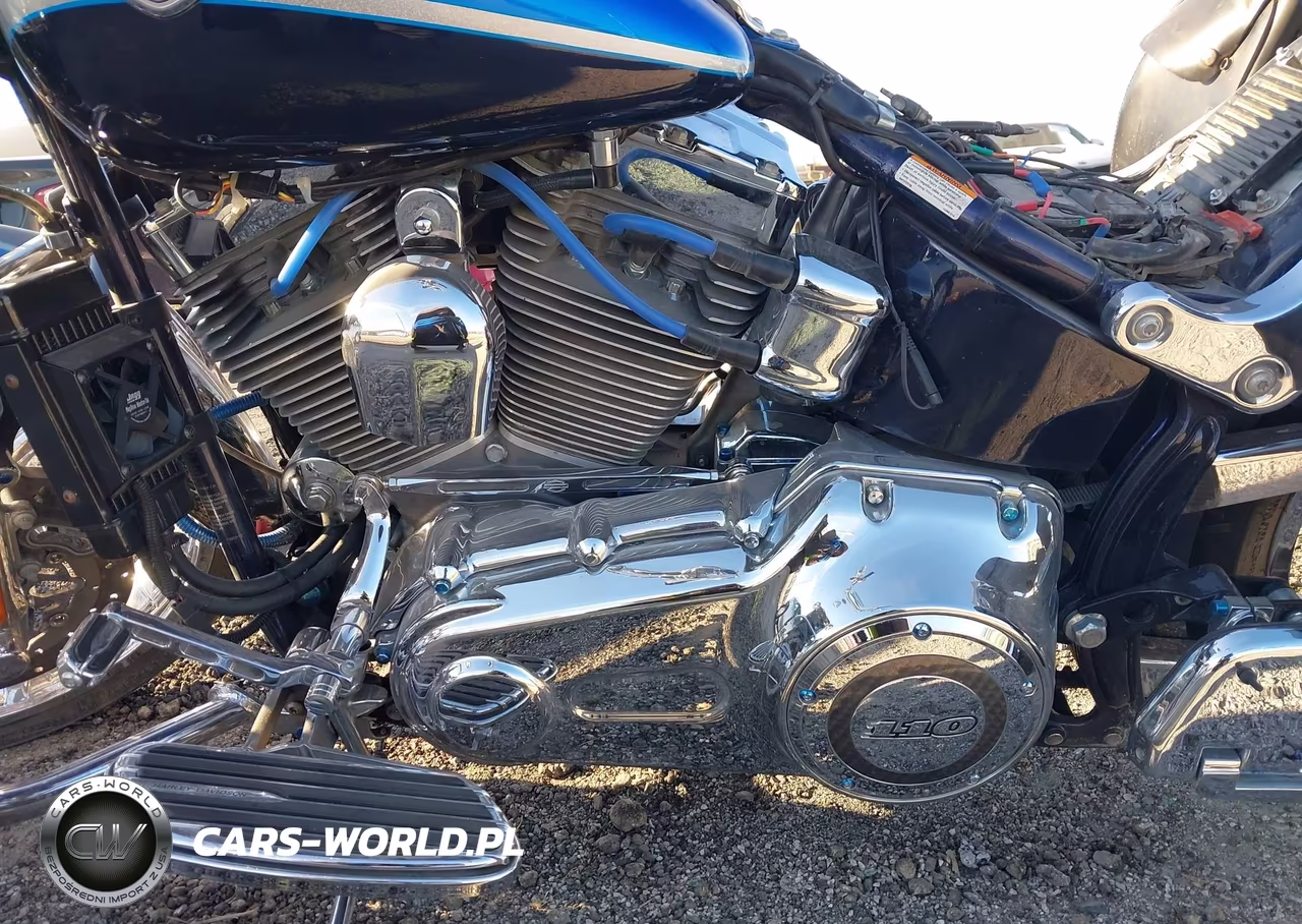 2010 Harley-Davidson Flstse VIN:1HD1PY919AB950615 - 9