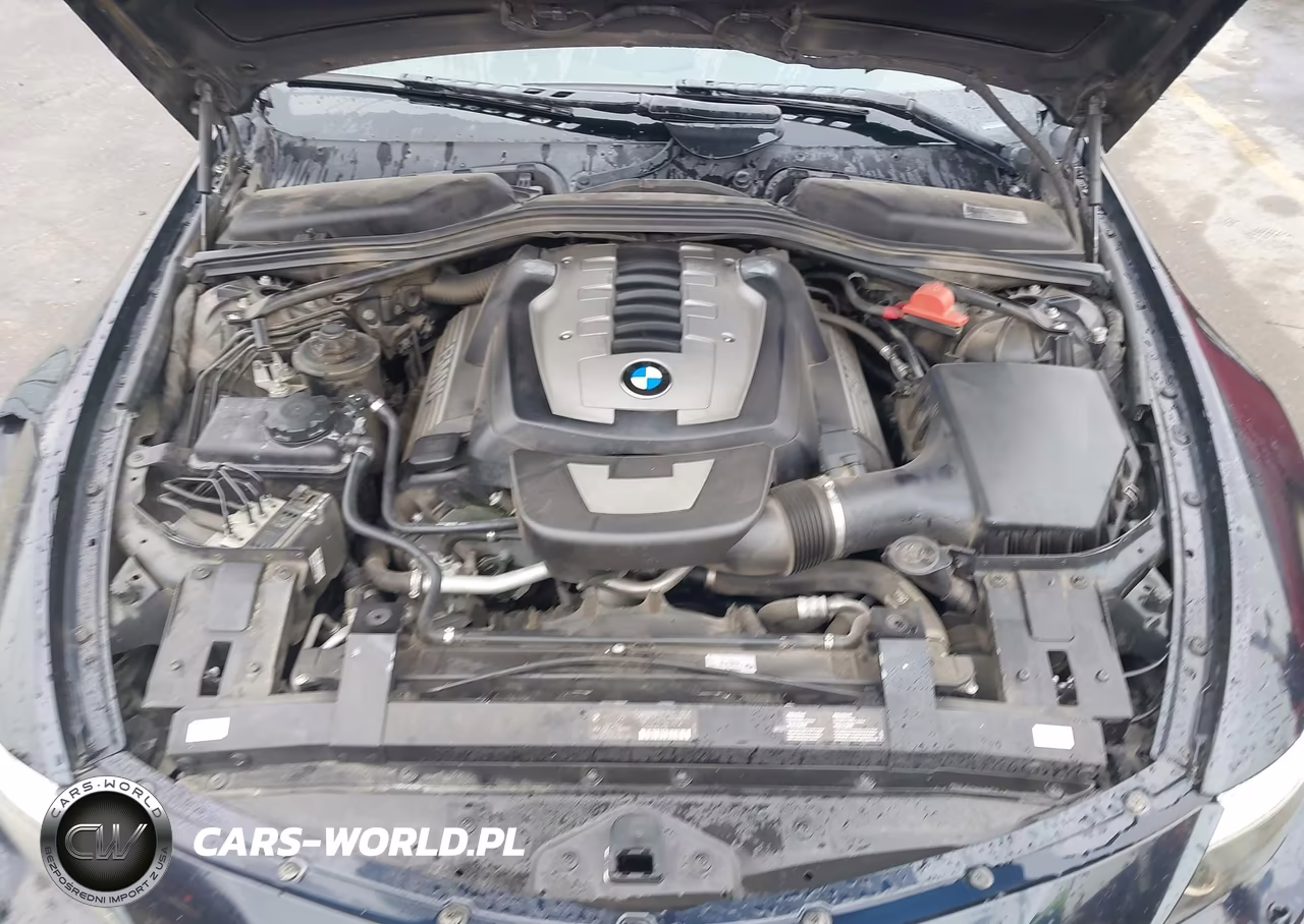 2010 BMW 650I VIN:WBAEA5C55ACV93679 - 10
