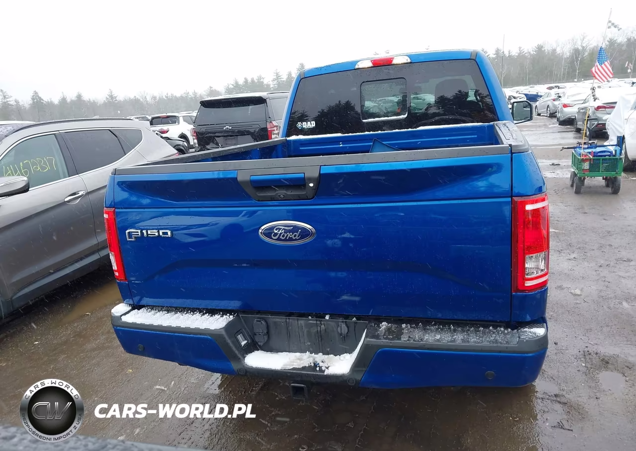 2017 Ford F-150 Xlt VIN:1FTFX1EG5HFC55043 - 17