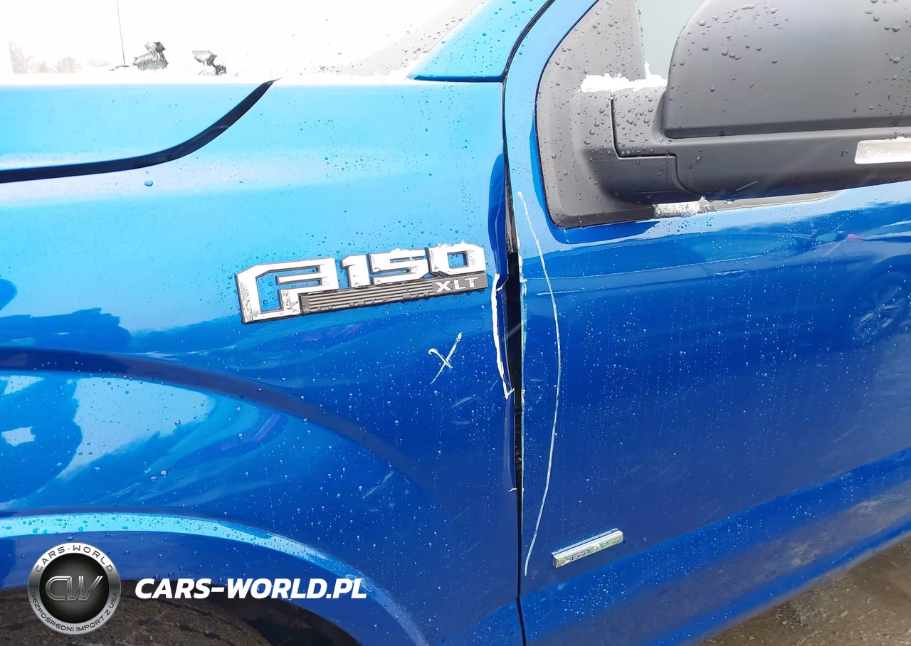 2017 Ford F-150 Xlt VIN:1FTFX1EG5HFC55043 - 20