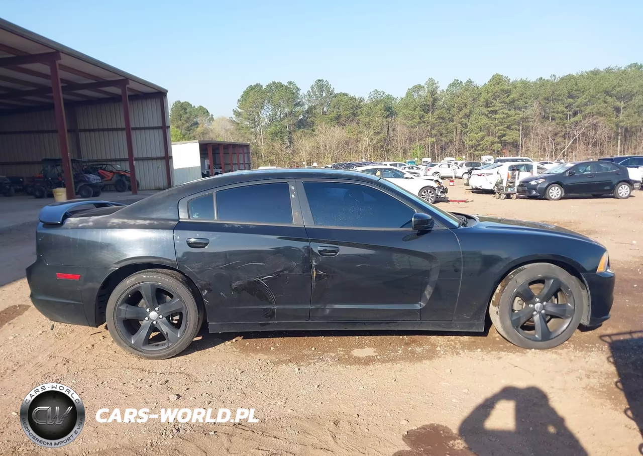 2013 Dodge Charger Sxt VIN:2C3CDXHG6DH546660 - 13