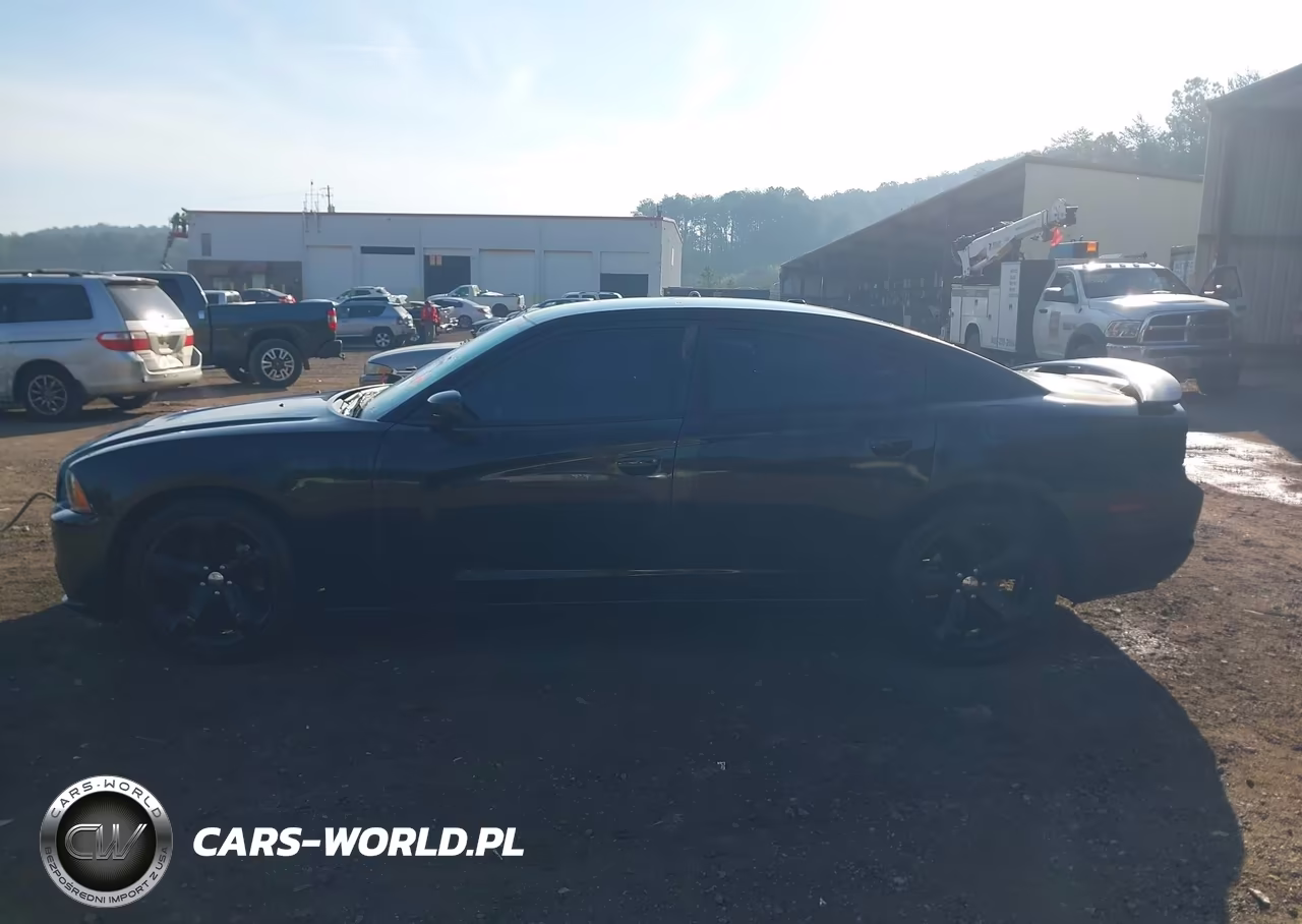 2013 Dodge Charger Sxt VIN:2C3CDXHG6DH546660 - 14