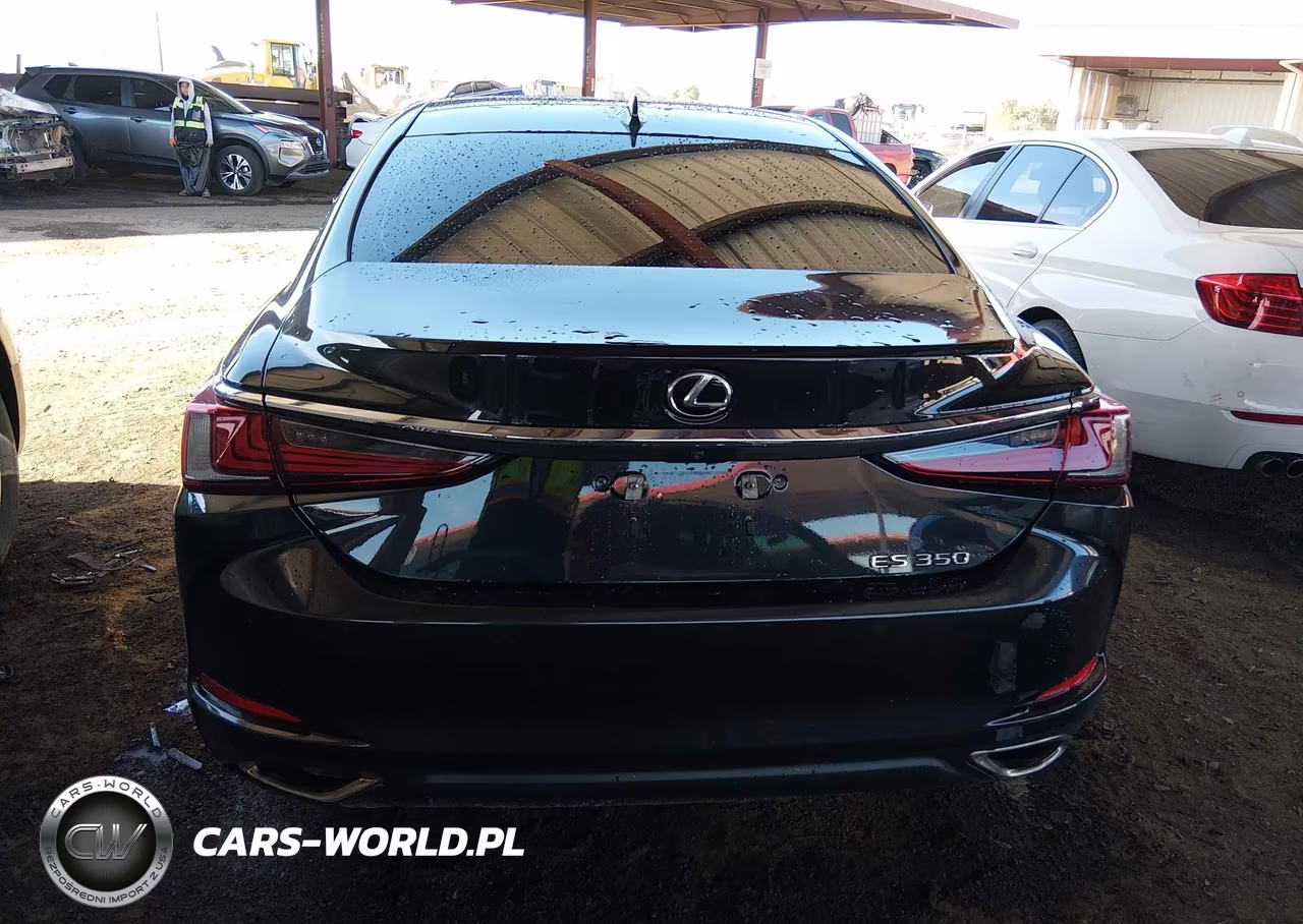 2020 Lexus Es 350 VIN:58ADZ1B10LU059862 - 17