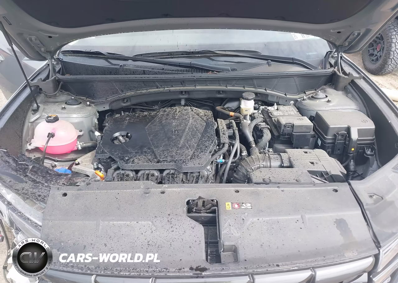 2024 Hyundai Tucson Sel VIN:5NMJBCDE7RH339339 - 10