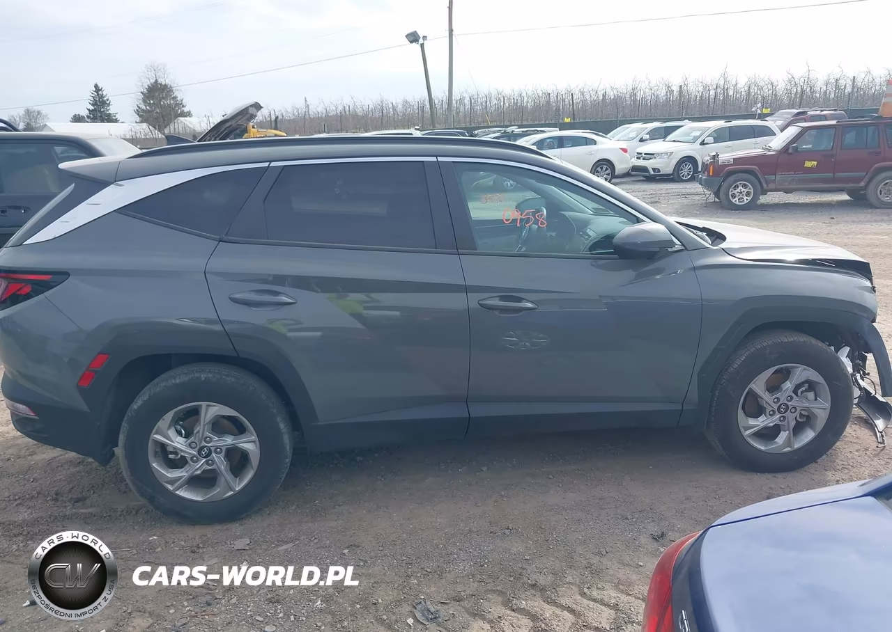 2024 Hyundai Tucson Sel VIN:5NMJBCDE7RH339339 - 13