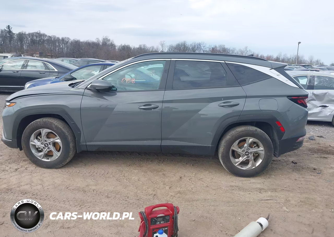 2024 Hyundai Tucson Sel VIN:5NMJBCDE7RH339339 - 14