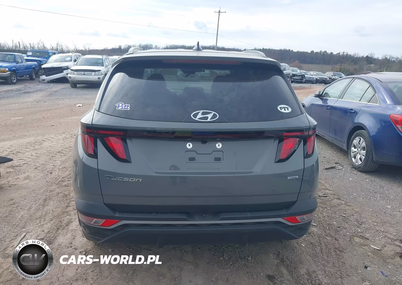 2024 Hyundai Tucson Sel VIN:5NMJBCDE7RH339339 - 16