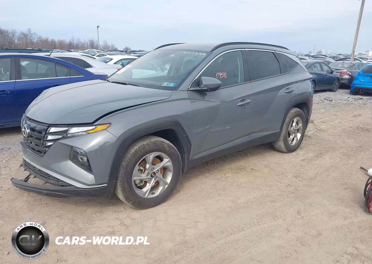 2024 Hyundai Tucson Sel VIN:5NMJBCDE7RH339339 - 2
