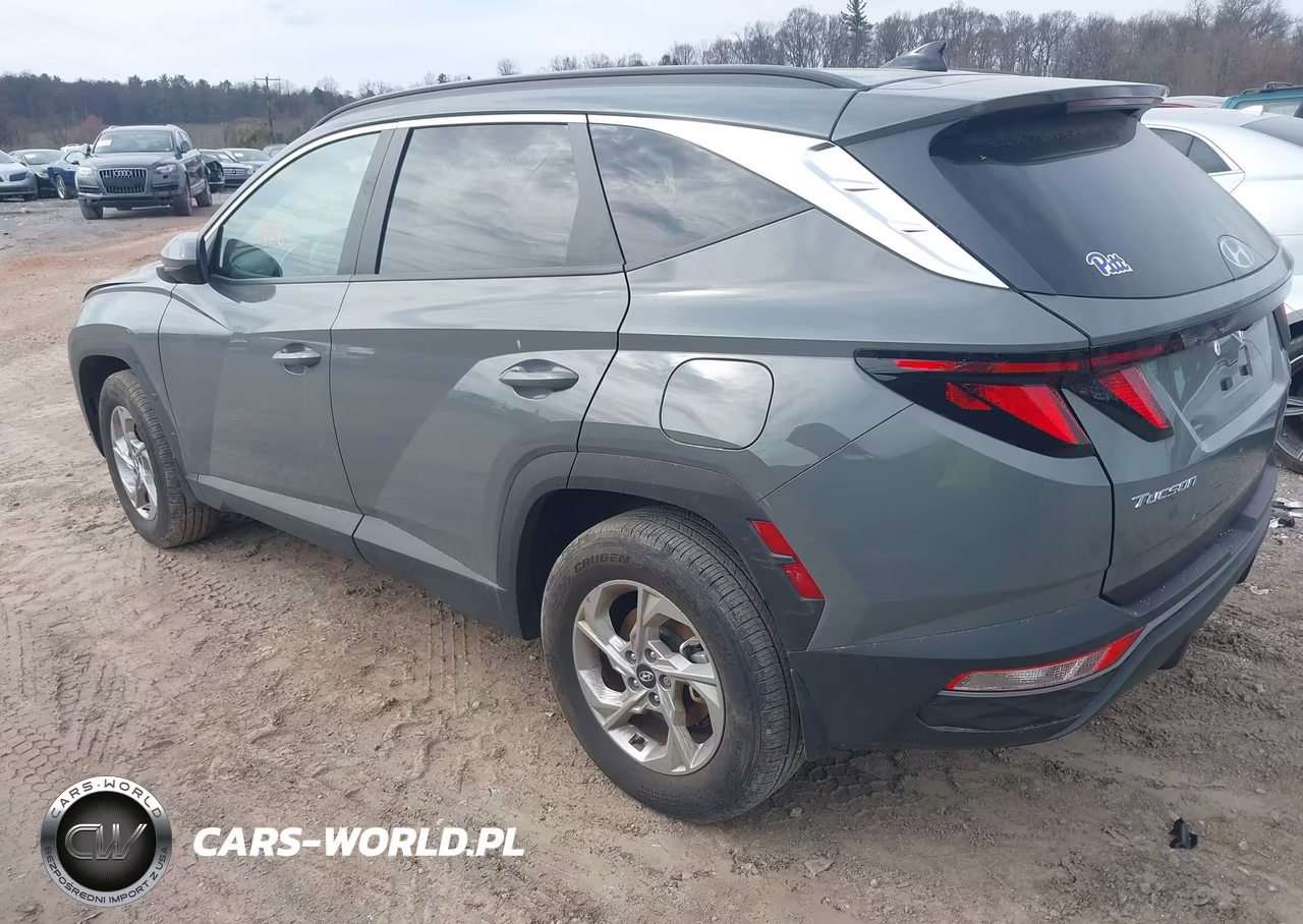 2024 Hyundai Tucson Sel VIN:5NMJBCDE7RH339339 - 3
