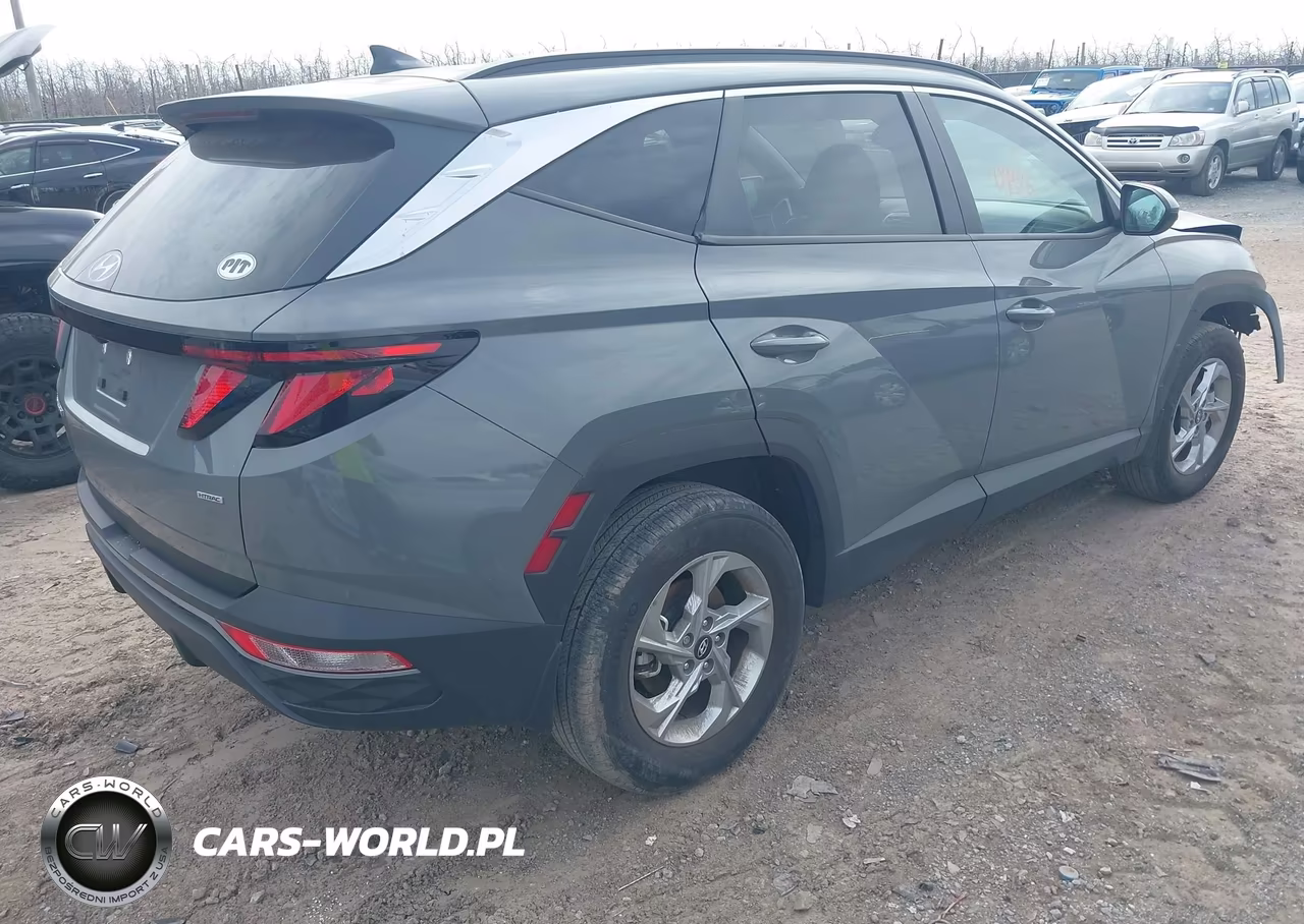 2024 Hyundai Tucson Sel VIN:5NMJBCDE7RH339339 - 4