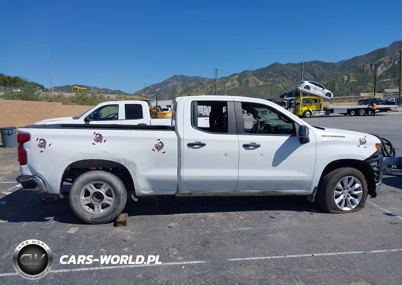 2019 Chevrolet Silverado 1500 Work Truck VIN:1GCRWAEHXKZ417456 - 12