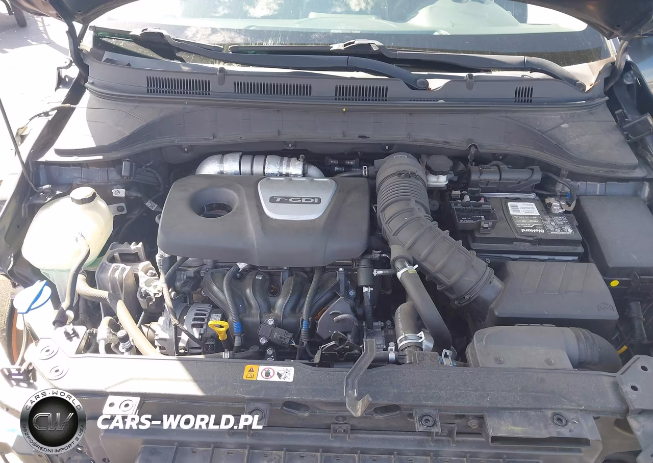 2020 Hyundai Kona Limited VIN:KM8K33A55LU482498 - 10
