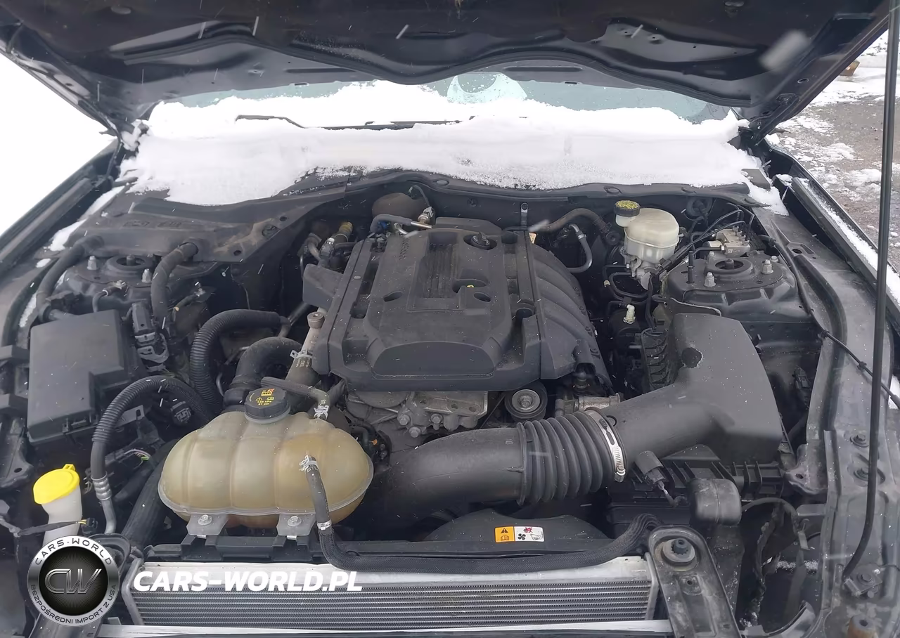 2018 Ford Mustang Ecoboost VIN:1FA6P8TH4J5104233 - 10