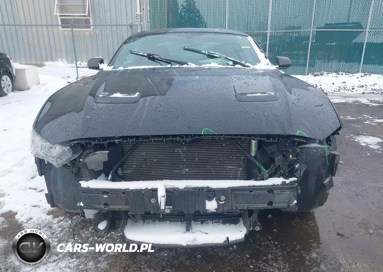 2018 Ford Mustang Ecoboost VIN:1FA6P8TH4J5104233 - 12