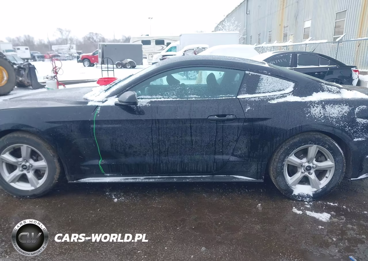 2018 Ford Mustang Ecoboost VIN:1FA6P8TH4J5104233 - 14