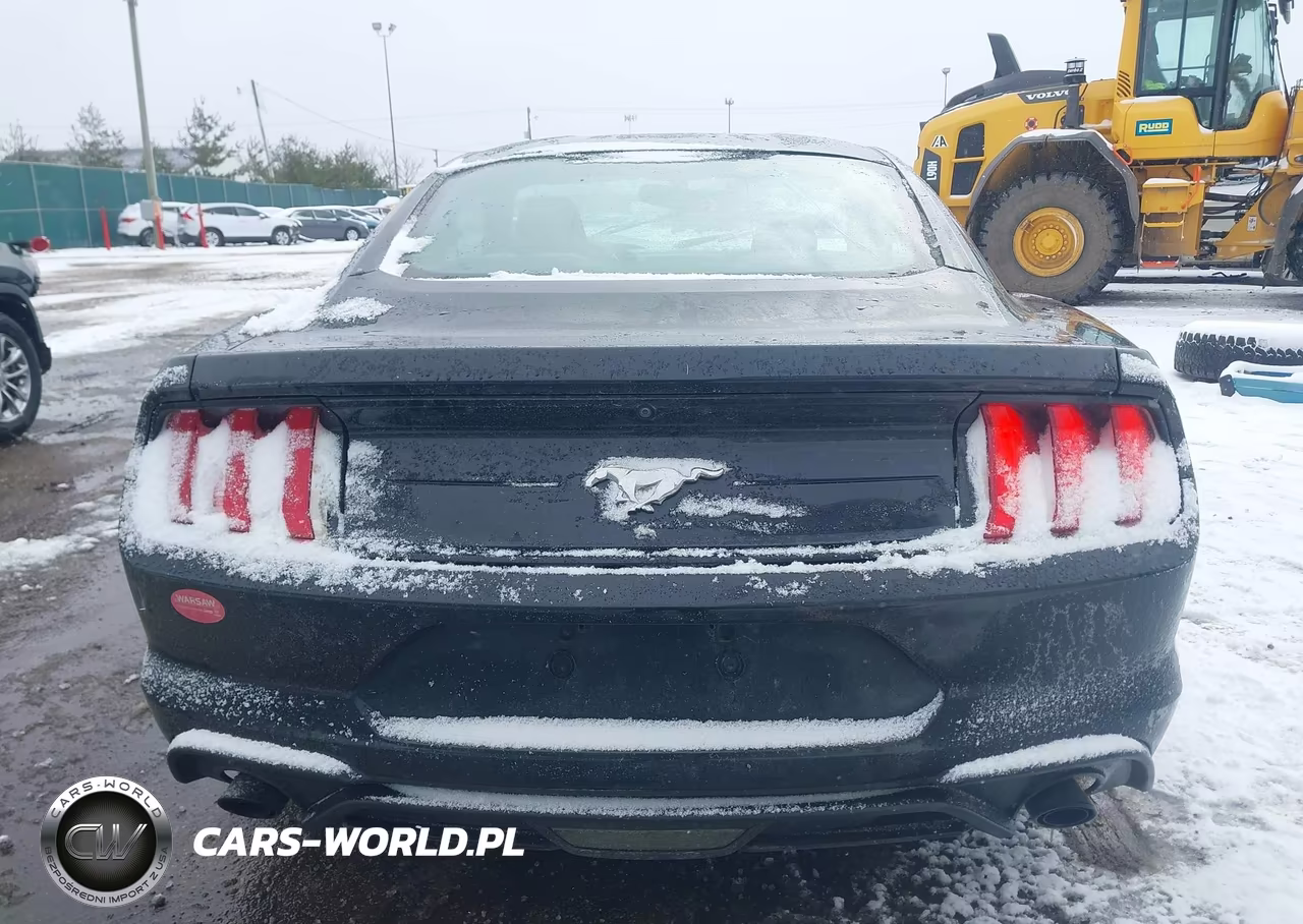 2018 Ford Mustang Ecoboost VIN:1FA6P8TH4J5104233 - 16