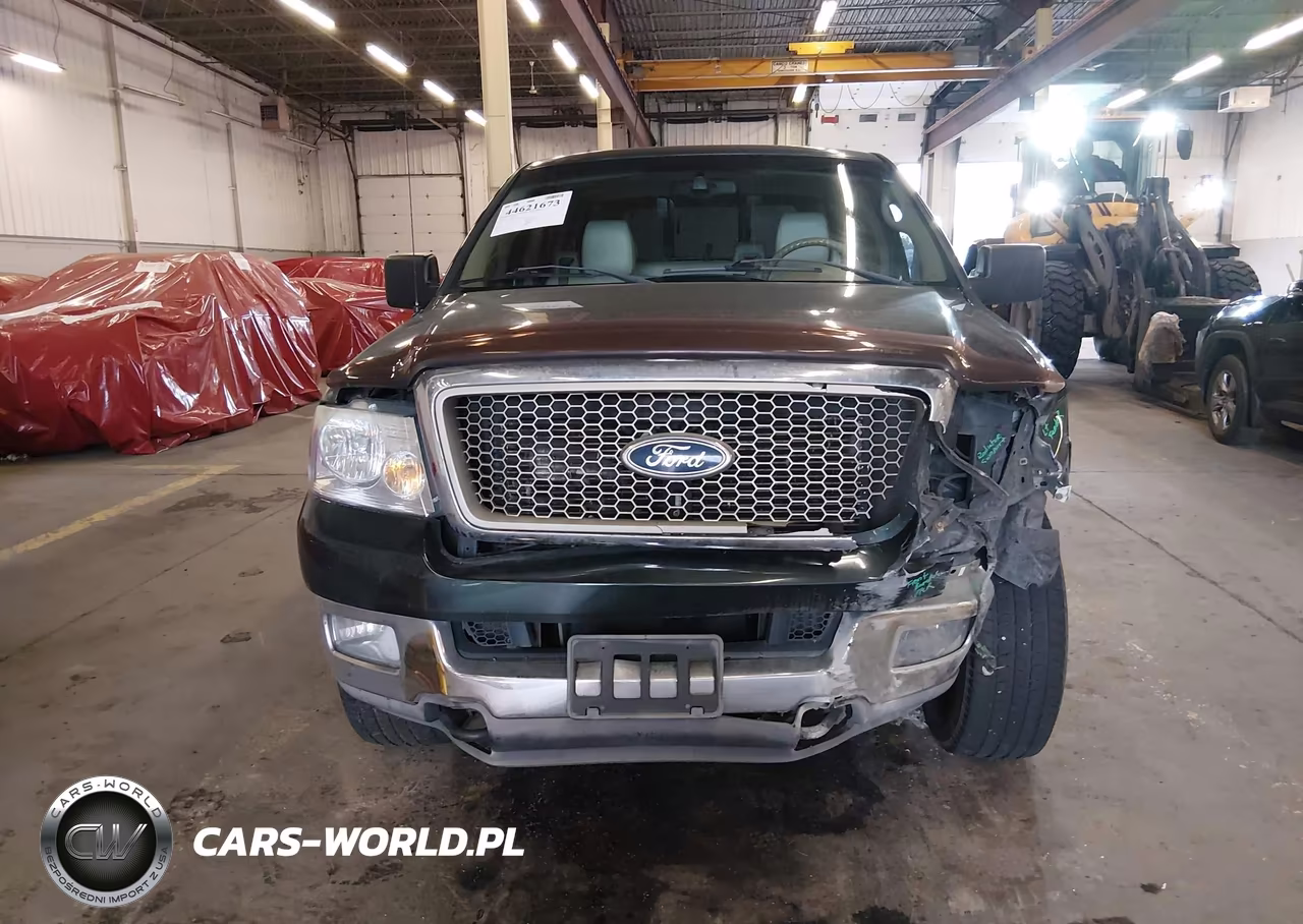 2004 Ford F-150 Fx4-Lariat-Xl-Xlt VIN:1FTPX14544NB04330 - 12