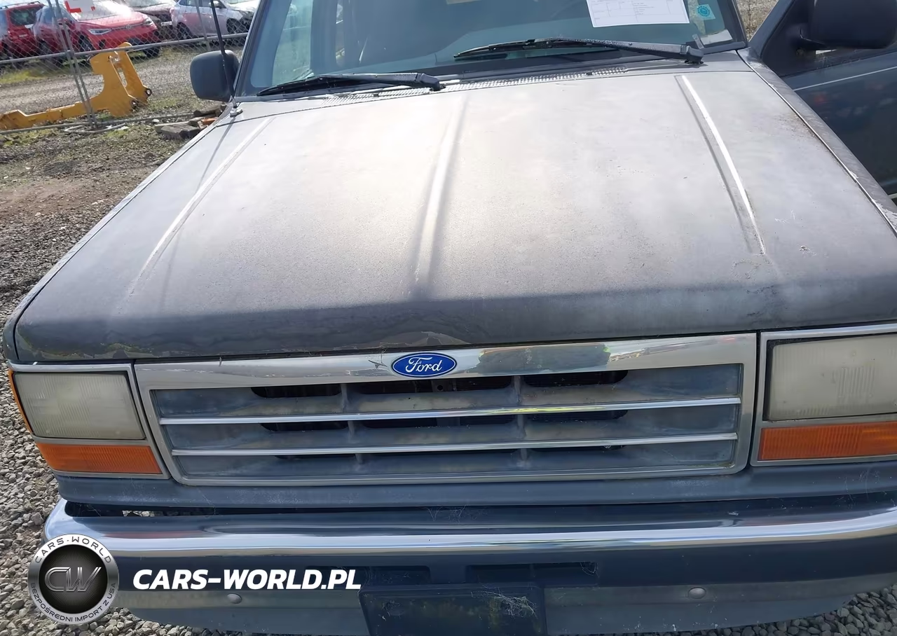 1993 Ford Explorer VIN:1FMDU34X1PUB48302 - 6