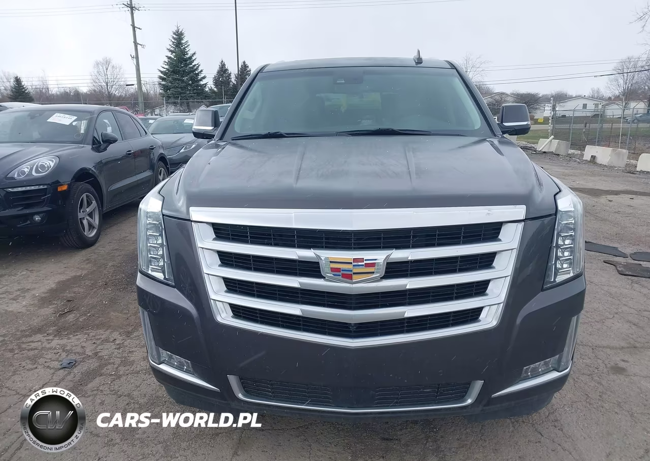 2015 Cadillac Escalade Premium VIN:1GYS4NKJ2FR510865 - 12