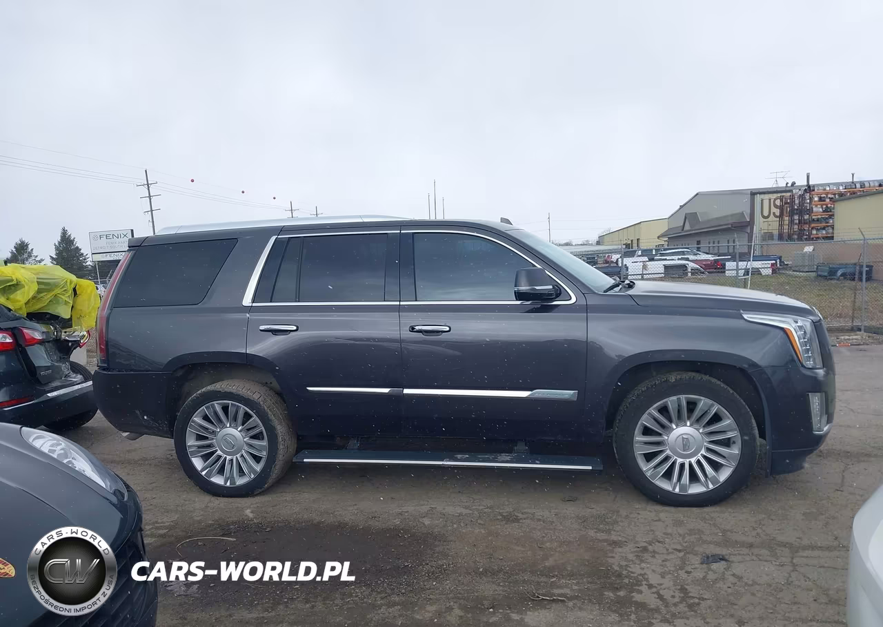 2015 Cadillac Escalade Premium VIN:1GYS4NKJ2FR510865 - 13