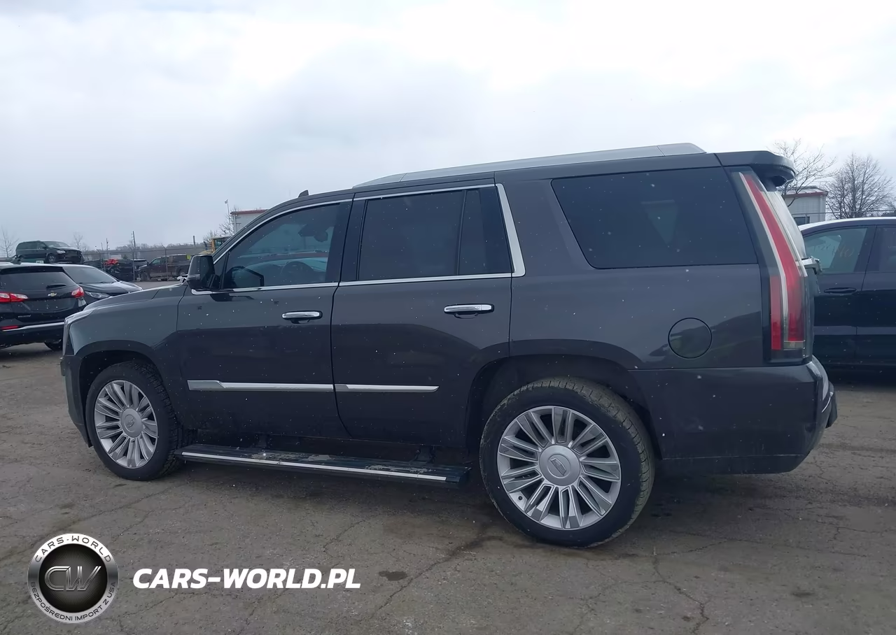2015 Cadillac Escalade Premium VIN:1GYS4NKJ2FR510865 - 14