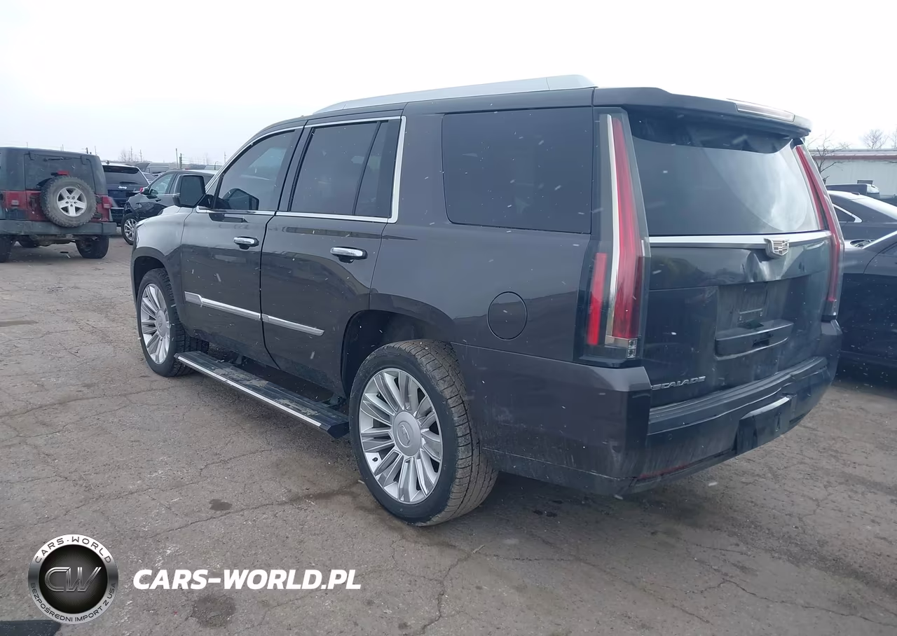 2015 Cadillac Escalade Premium VIN:1GYS4NKJ2FR510865 - 3