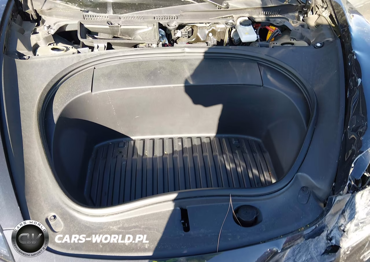 2024 Tesla Model 3 Long Range Dual Motor All-Wheel Drive-Rear-Wheel Drive VIN:5YJ3E1EA6RF736171 - 10