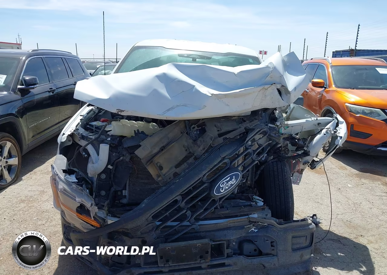 2024 Ford F-150 Xl VIN:1FTEW1KP6RKD75798 - 12