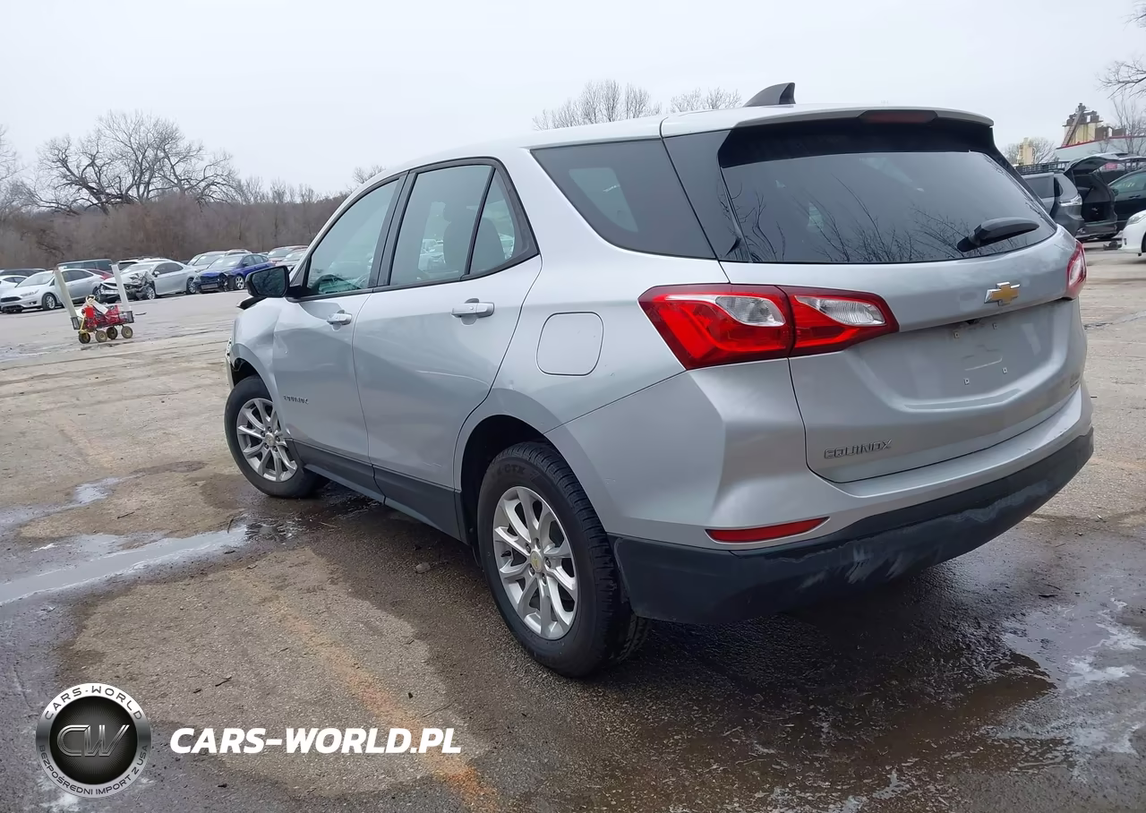 2019 Chevrolet Equinox Ls VIN:2GNAXHEV4K6275441 - 3