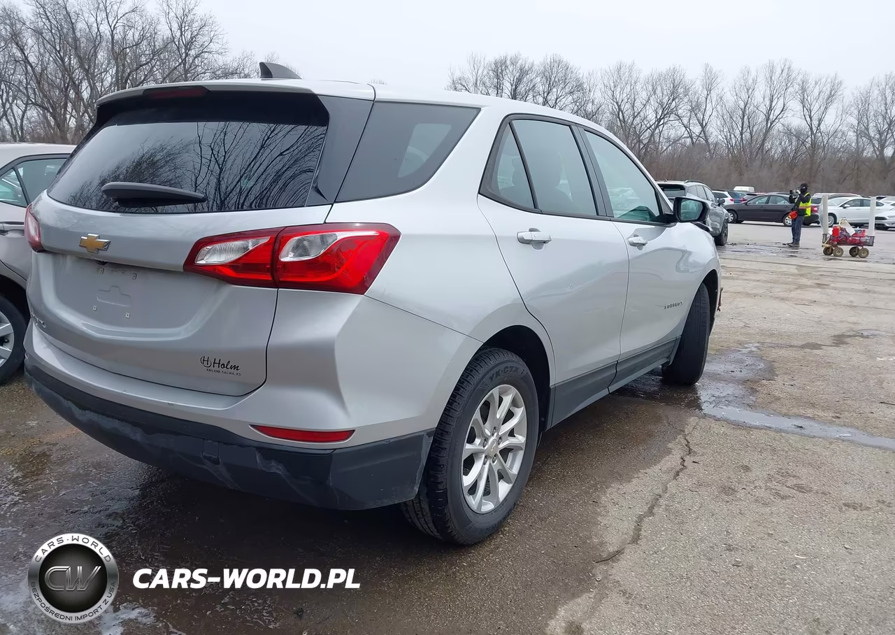 2019 Chevrolet Equinox Ls VIN:2GNAXHEV4K6275441 - 4