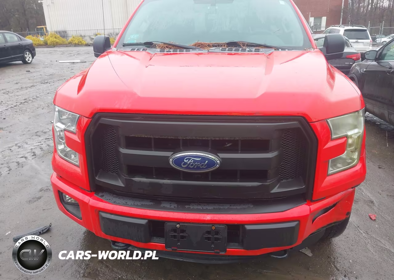 2016 Ford F-150 Xl VIN:1FTEW1EP9GFC24407 - 12